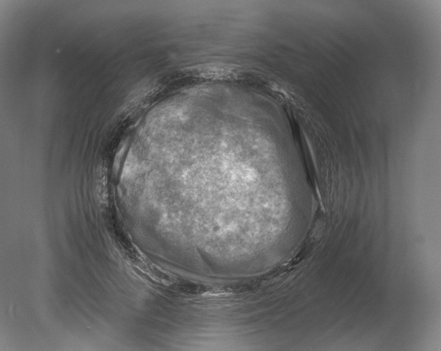 X0000080810696200701021316