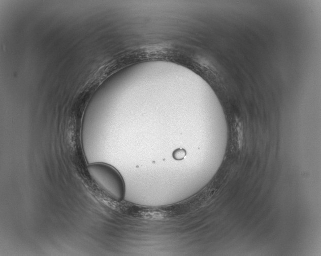 X0000080810698200701021316