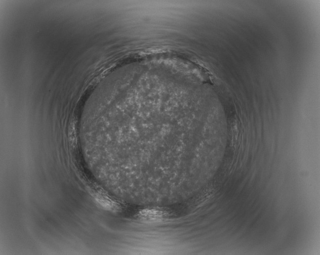 X0000080810699200701021316