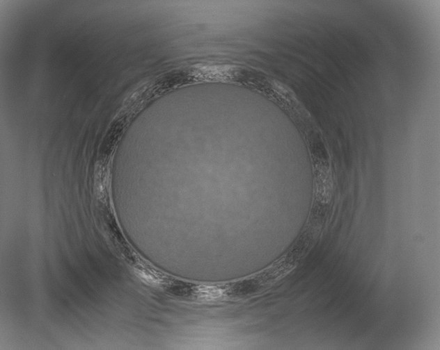 X0000080810701200701021316