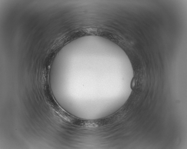 X0000080810702200701021316