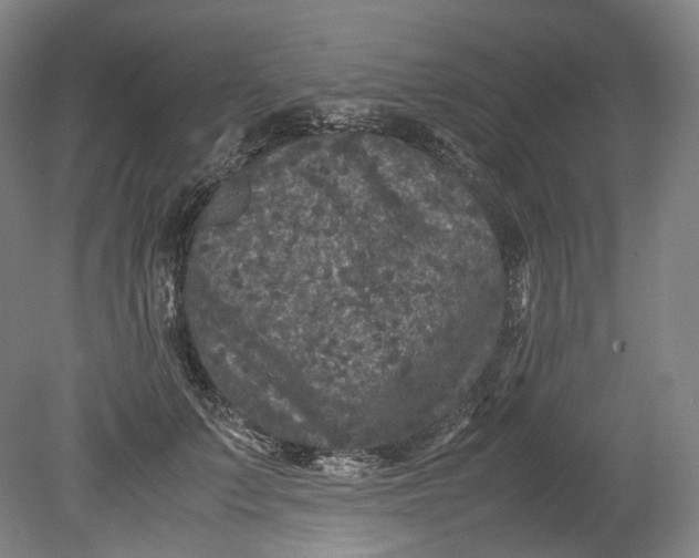 X0000080810703200701021316