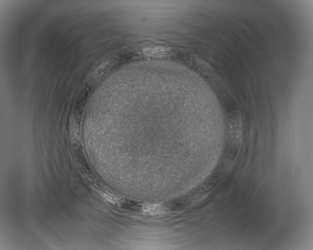 X0000080810705200701021316