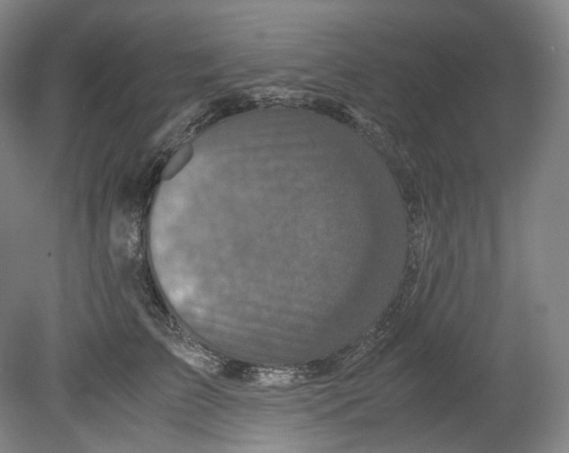 X0000080810709200701021316