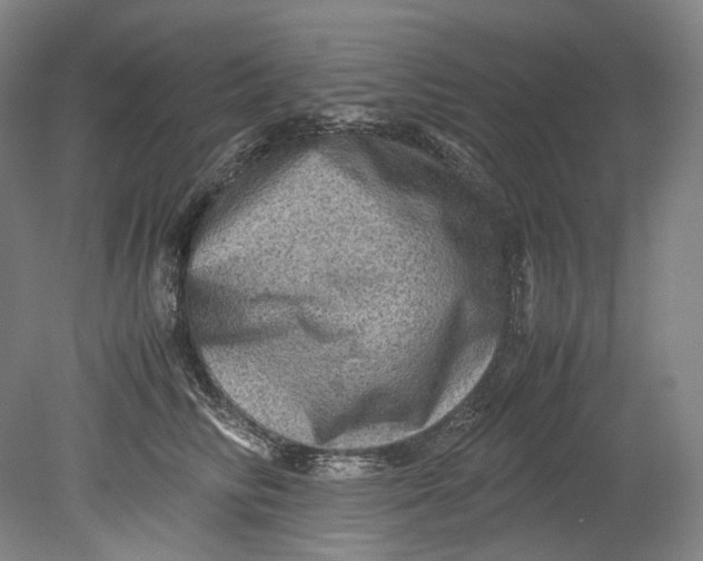 X0000080810710200701021316