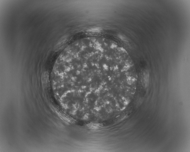 X0000080810711200701021316