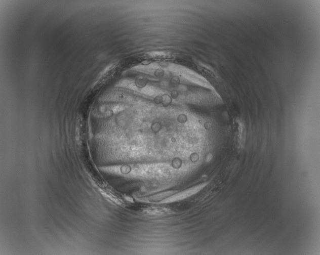 X0000080810712200701021316