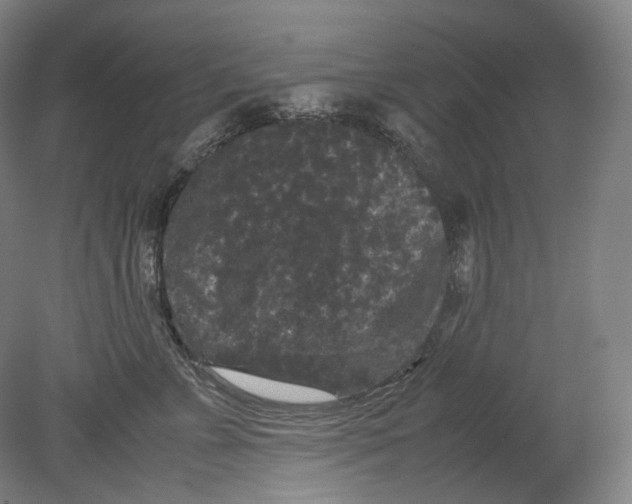 X0000080810715200701021316