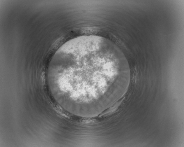 X0000080810716200701021316