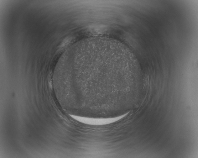 X0000080810719200701021316