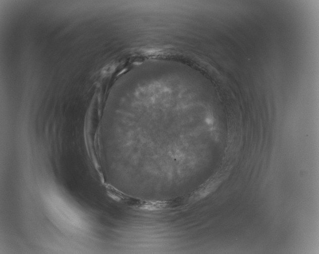 X0000080810720200701021316