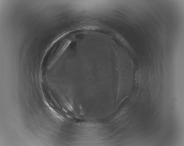 X0000080810722200701021315