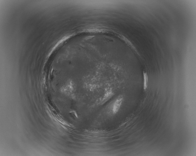 X0000080810723200701021315