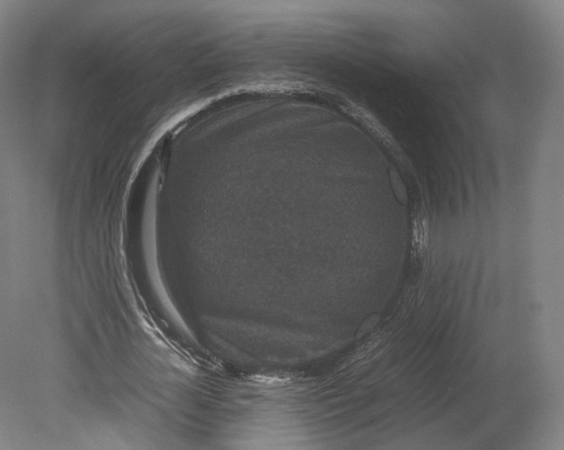 X0000080810724200701021315