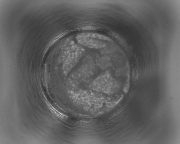 X0000080810725200701021315