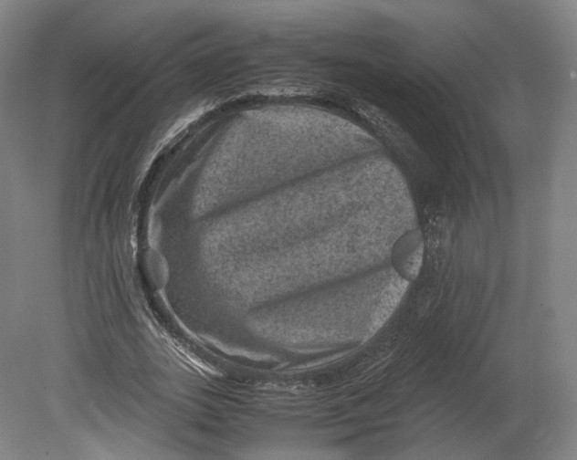 X0000080810727200701021315