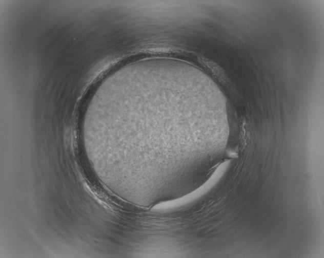 X0000080810728200701021315