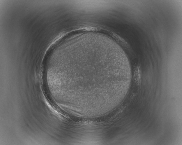 X0000080810730200701021315