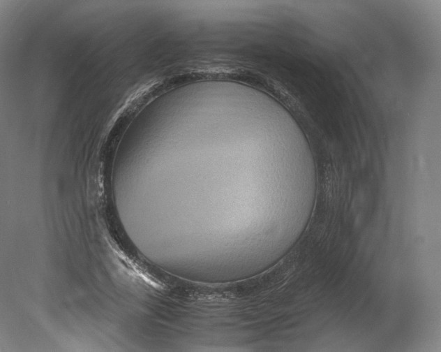 X0000080810731200701021315