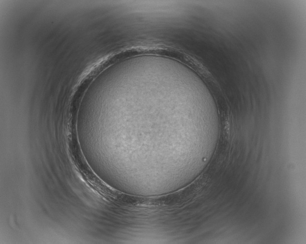 X0000080810732200701021315