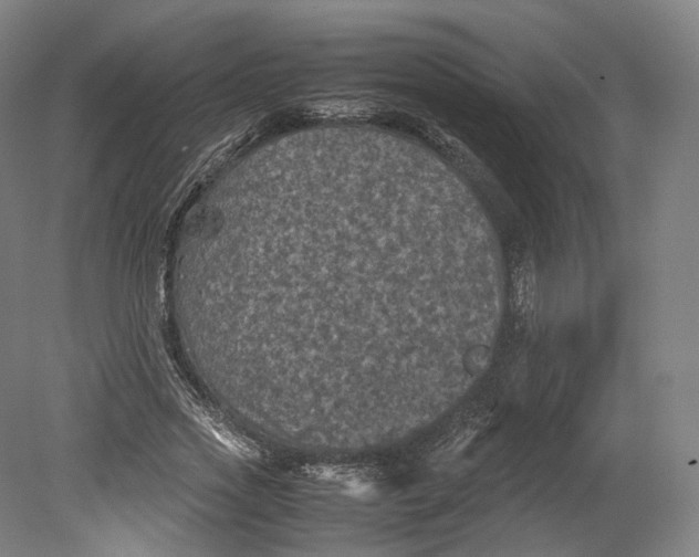 X0000080810733200701021315