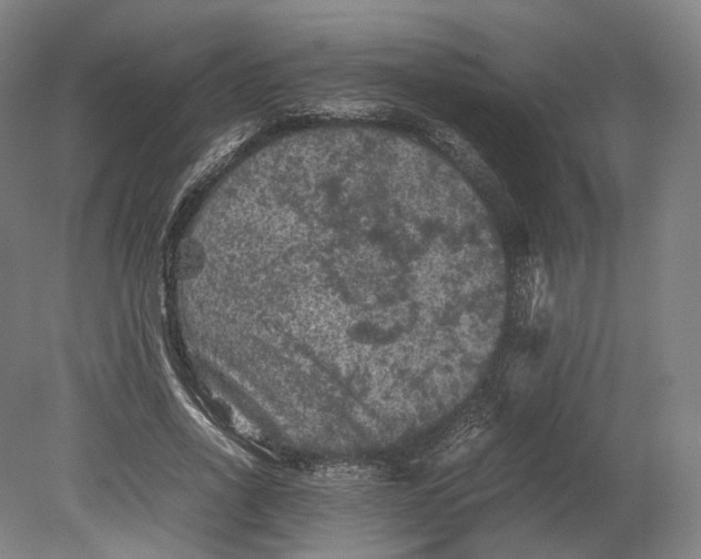 X0000080810734200701021315