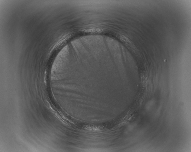 X0000080810735200701021315