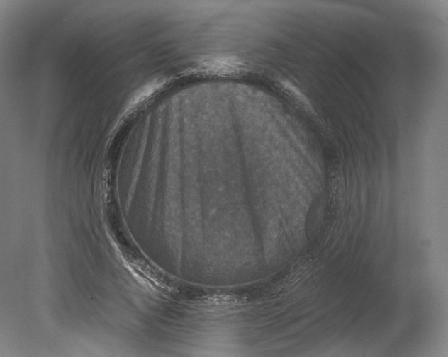 X0000080810736200701021315