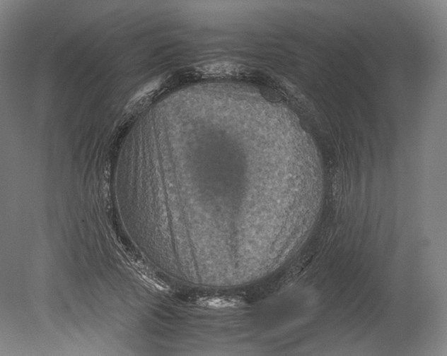 X0000080810737200701021315