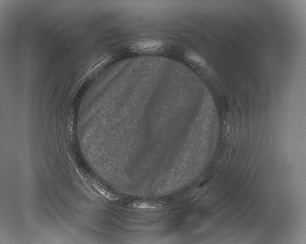 X0000080810739200701021315