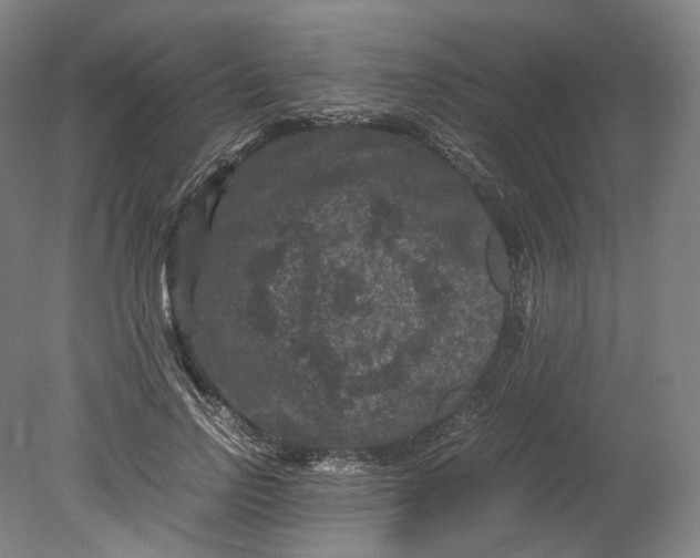 X0000080810742200701021315