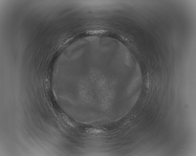 X0000080810743200701021315