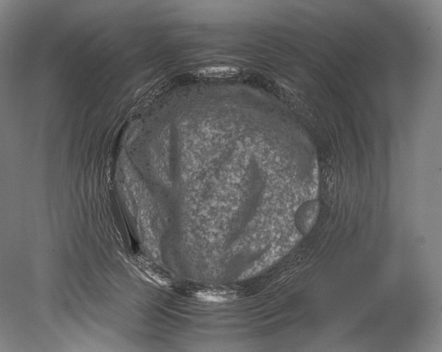 X0000080810745200701021315