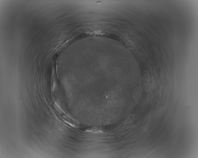 X0000080810747200701021315