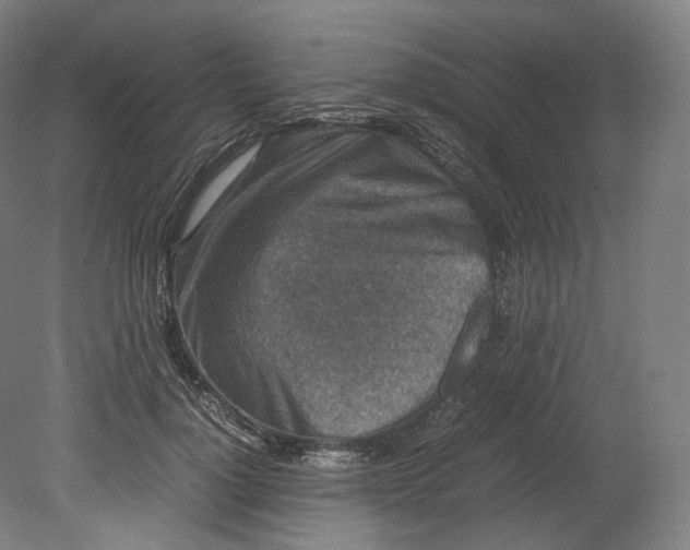 X0000080810748200701021315