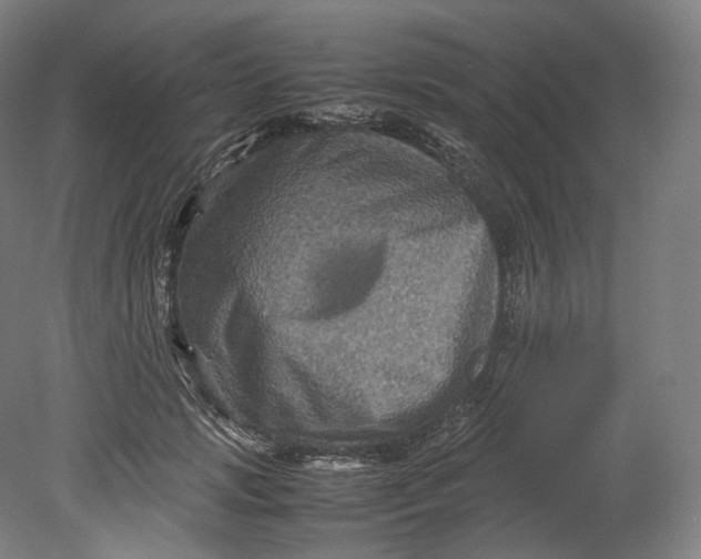 X0000080810749200701021315