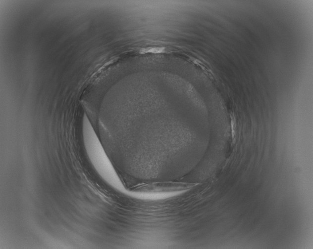 X0000080810750200701021315