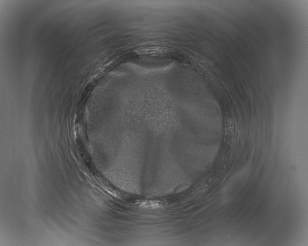 X0000080810751200701021315