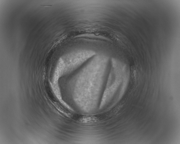 X0000080810752200701021315