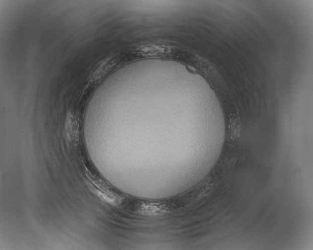 X0000080810753200701021315