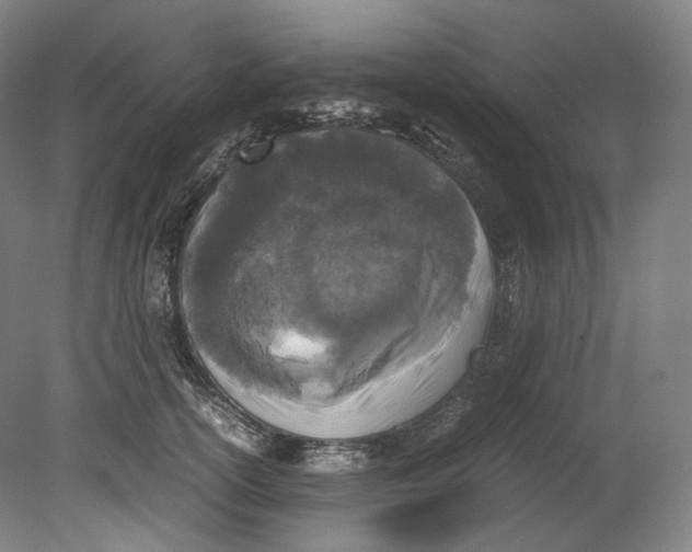 X0000080810754200701021315