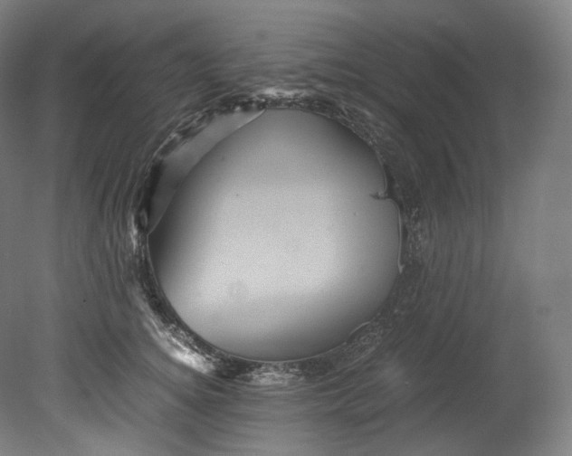 X0000080810756200701021315