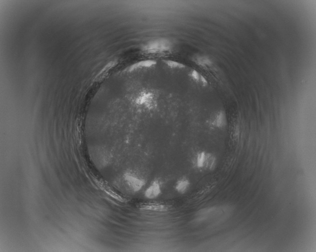 X0000080810759200701021315