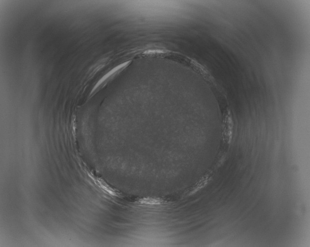 X0000080810762200701021315