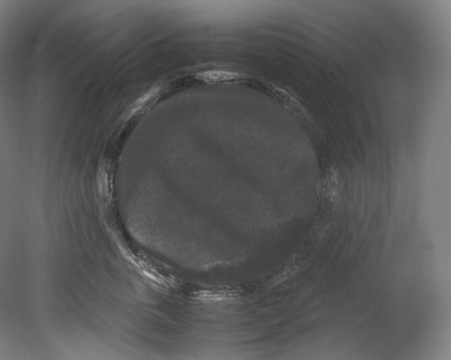 X0000080810763200701021315