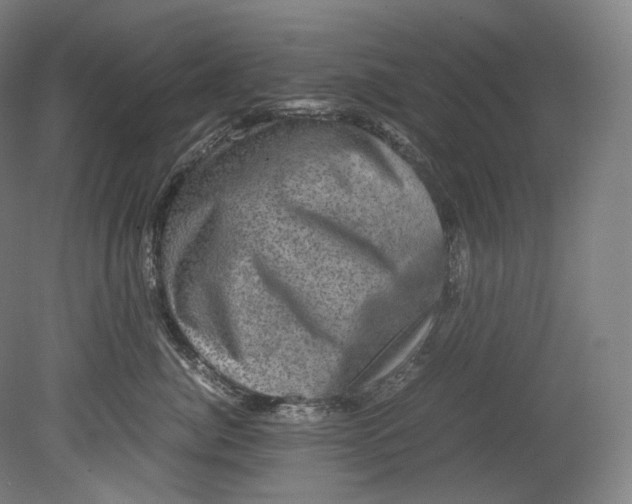 X0000080810764200701021315