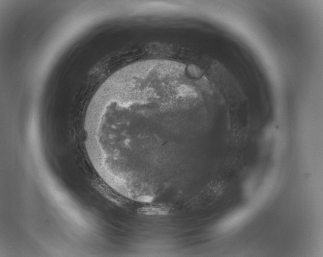 X0000080810765200701021315