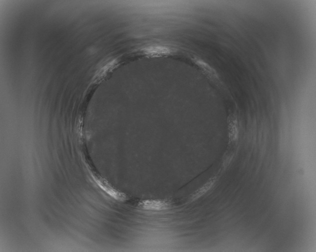 X0000080810766200701021315