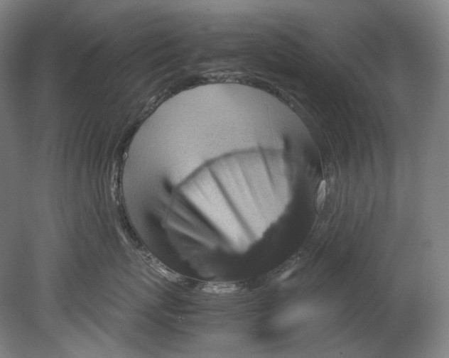 X0000080810767200701021315