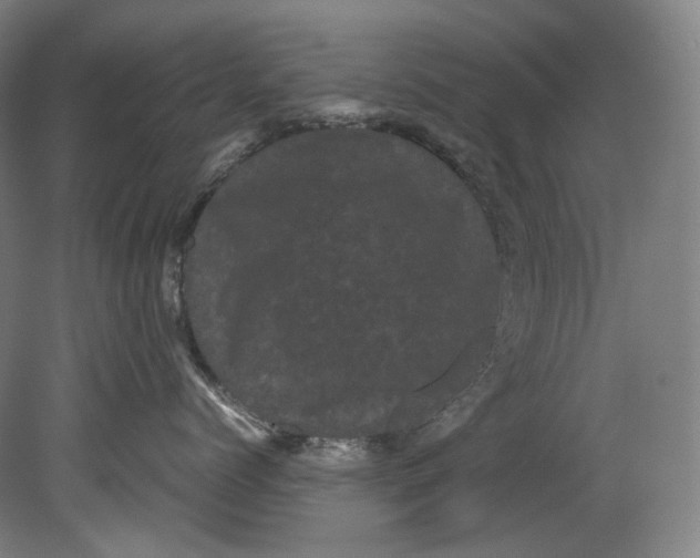 X0000080810768200701021316